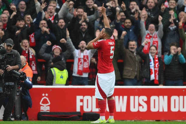 他们在试图 他们在试图